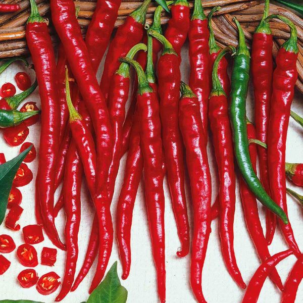 cayenne cayenne